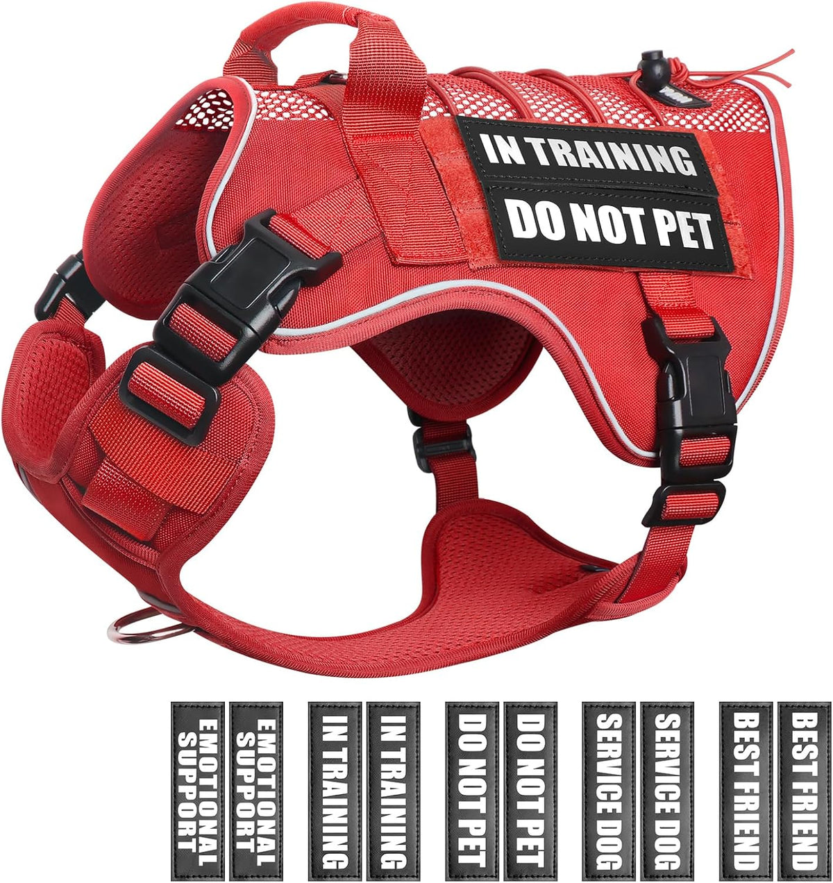 WINSEE Service Dog in Training Mesh Harness with 10 Removale Pet - Large / Red