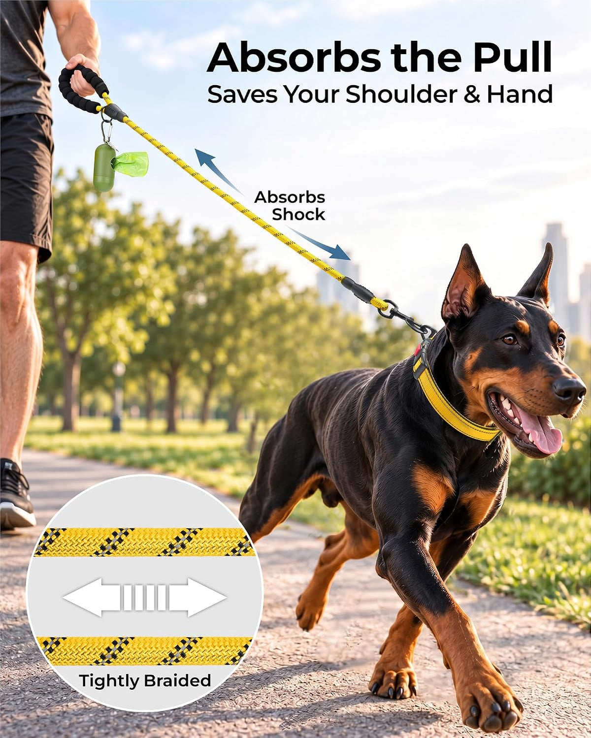 Taglory Rope Dog Leash for Medium Large Dogs - 3/8" x 6 FT (0~20 lbs.) / Yellow - image 3