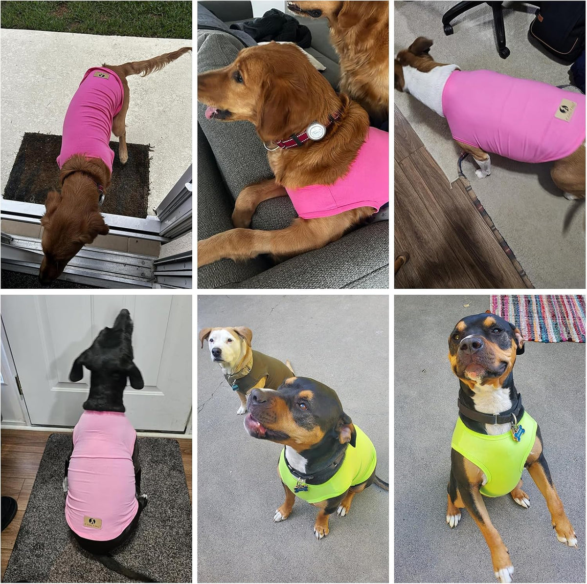 Halloween Dog Shirts for Large Dogs - Green & Light Green / XX-Large(Chest 28", Back 22") - image 2