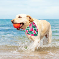 Halloween Dog Bandanas, L - X-Large / Summer - image 2