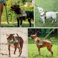 SlowTon No Pull Dog Harness and Leash Set, Heavy Duty - Green / Small - image 3