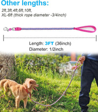 Reflective Dog Leash 2/3/4/6/10ft Braided 1/2" Strong Nylon Rope – Essentials for Dogs - 3ft * 1/2" / Pink - image 4