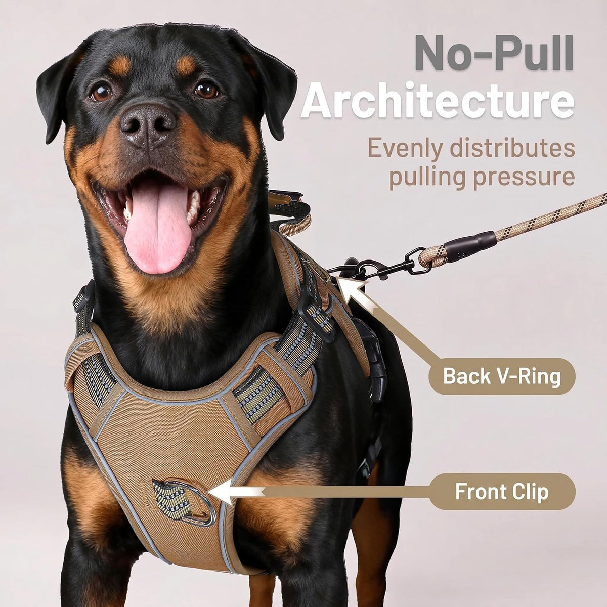 Dog Harness and Leash Set for Large Dogs - Khaki / S - image 2