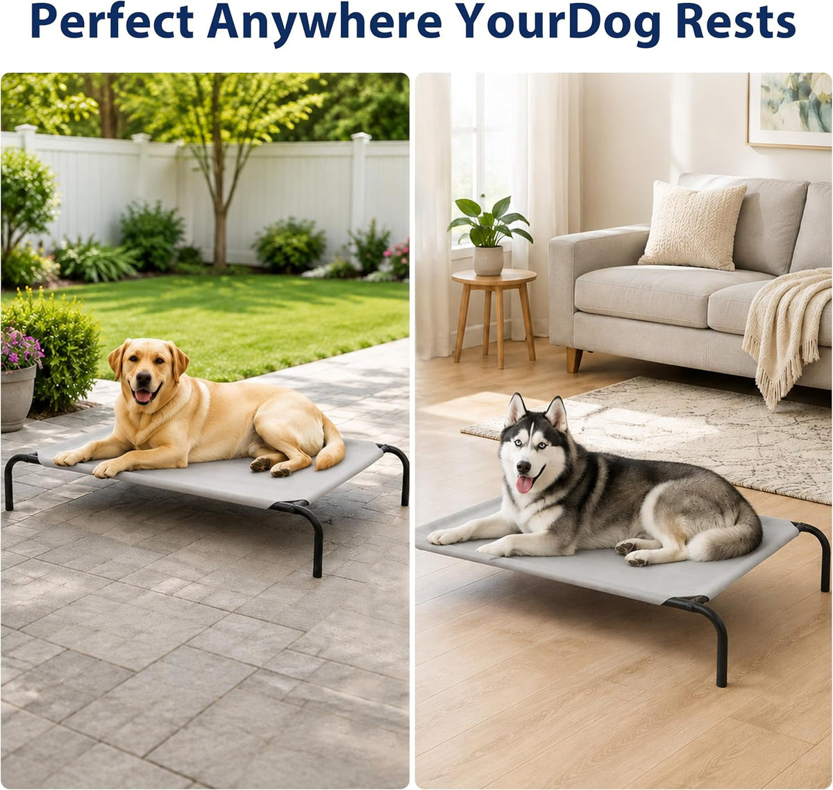Raised Pet Cot for Small Pets – Essentials for Dogs - Large / Grey - image 4