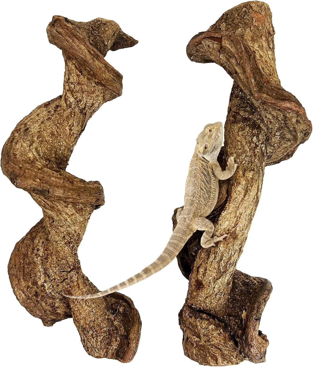 Reptile Climbing Decor 1.8-2.2" Thick Wood Branches Snake Habitat - 14-16 inches