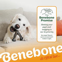 Benebone Pumpkin Spice Wishbone – Limited Edition Flavor, Durable Dog Chew Toy for Aggressive Chewers, Made in USA, Small