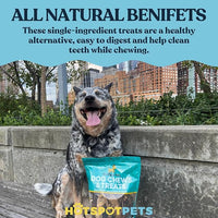 hotspot pets 5 Pack - 8-9 Inch Large Rawhide Dog Chew Bones - Made from Grass Fed Brazilian - Great for Dental & Oral Care for Aggressive Chewers Large Dogs (5 Pack)
