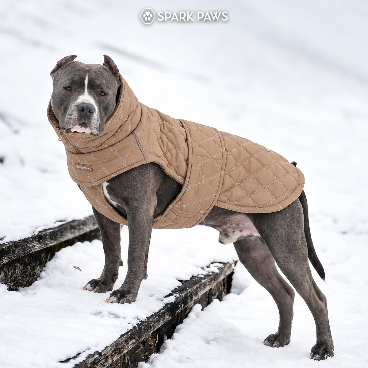 Spark Paws Quilted Dog Winter Coat - Brown / 4XL - image 3