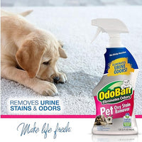 OdoBan Pet Solutions No Rinse Neutral pH Floor Cleaner Concentrate, Made in the USA, 1 Gallon, and Oxy Stain Remover, 32 Ounce Spray