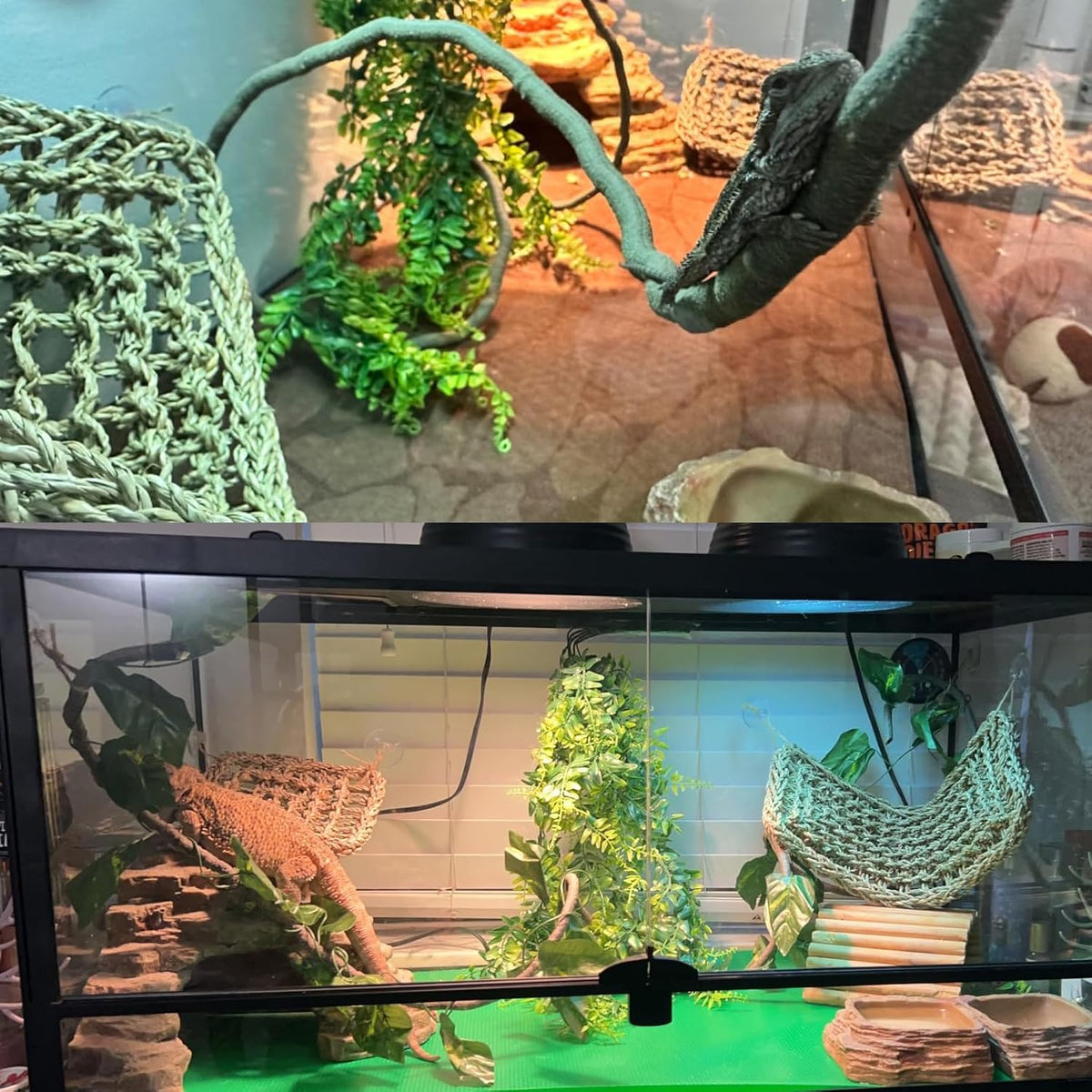 Bearded Dragon Tank Hammock - Square - image 4