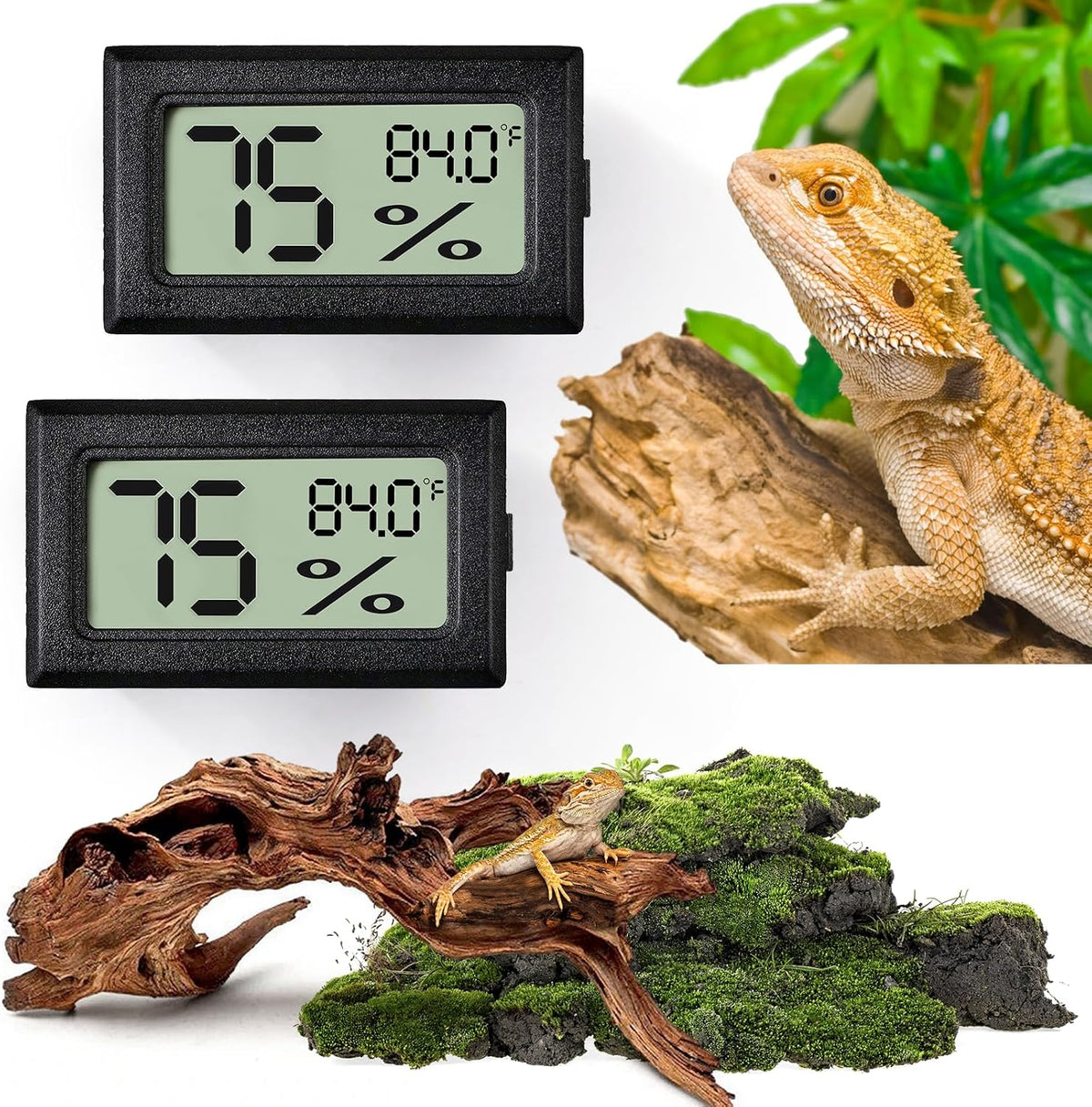Reptile Thermometer and Humidity Gauge - 2PCS Rectangular