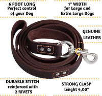 ADITYNA Leather Dog Leash for Large, and Small Dogs - XL - 6 ft x 1 inch / Brown - image 3