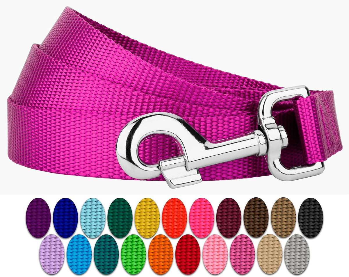 Country Brook Petz, Everyday Nylon Dog Leash - Fuchsia / 6 Foot X 1 Inch Wide (Pack of 1)