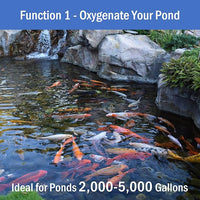 AquaMiracle All-in-One Koi Pond Aerator for Outdoor Ponds, Pond Air Pump Pond Aeration System with Self-Sinking Airline Flow Control Rubber Air Diffuser