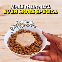 Temptations Creamy Puree Squeezable Lickable Wet Cat Treat with Cheese, 0.42 oz. Tubes, 16 Count