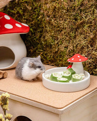 Niteangel Hamster Snack & Treats Toy - Small Animal Natural Treat for Dwarf Syrian Robo Hamsters Gerbils Mice Degus or Other Small-Sized Pets (Freeze-Dried Okra - 0.2oz (5.5g))