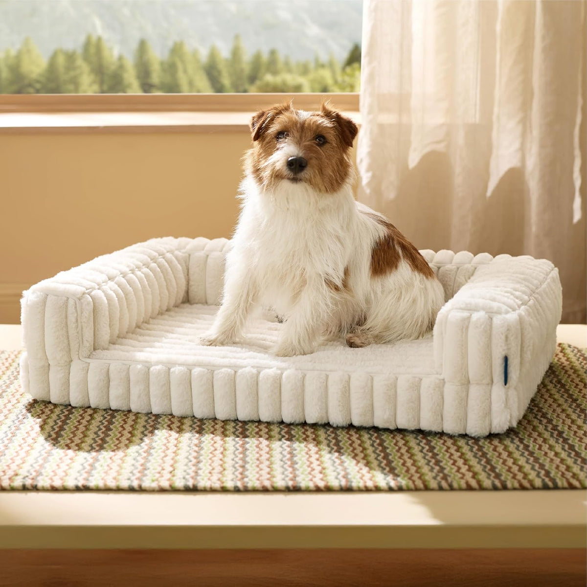 Bedsure ComfyFleece Memory Foam Orthopedic XL Dog Bed Washable 42" – Essentials for Dogs - Cream / 30.0"l X 20.0"w X 6.5"th