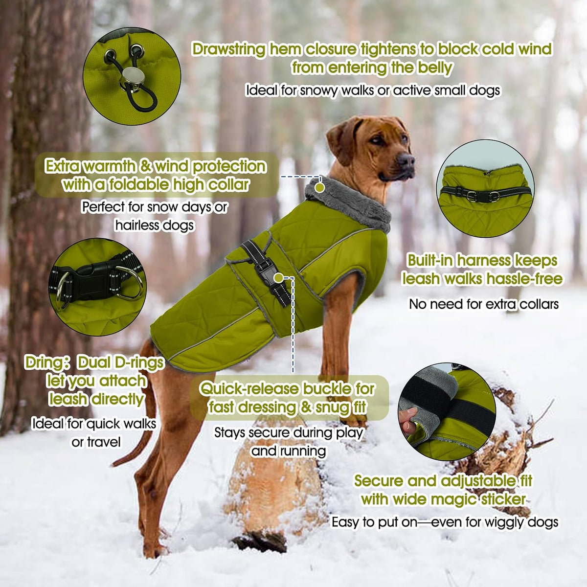 QBLEEV Warm Dog Jacket, Waterproof Dog Winter Coat with Harness – Essentials for Dogs - Autumn-Fragrance / Large - image 2