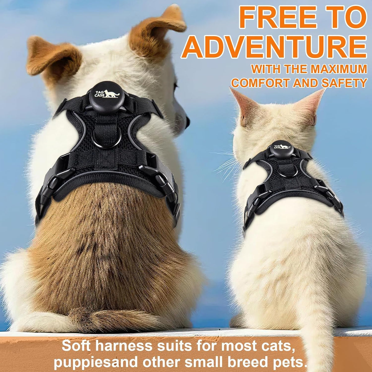 Cat Harness and Leash for Walking - S / Black - image 3