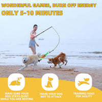 Flirt Pole Dogs, Dog Chase Toy with Squeakers Inside - Ball+Duck - image 2