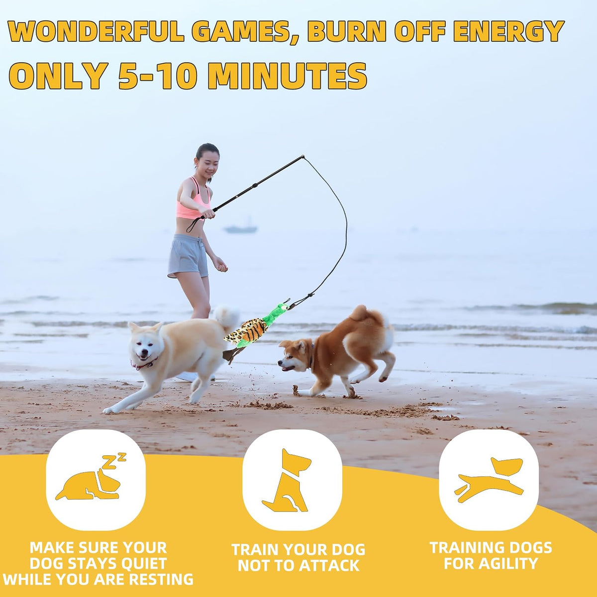 Flirt Pole Dogs, Dog Chase Toy with Squeakers Inside - Ball+Duck - image 2