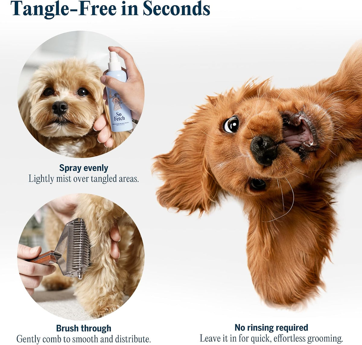 FlyDog Detangler Combo for Dogs & Cats - Detangler Spray - image 4