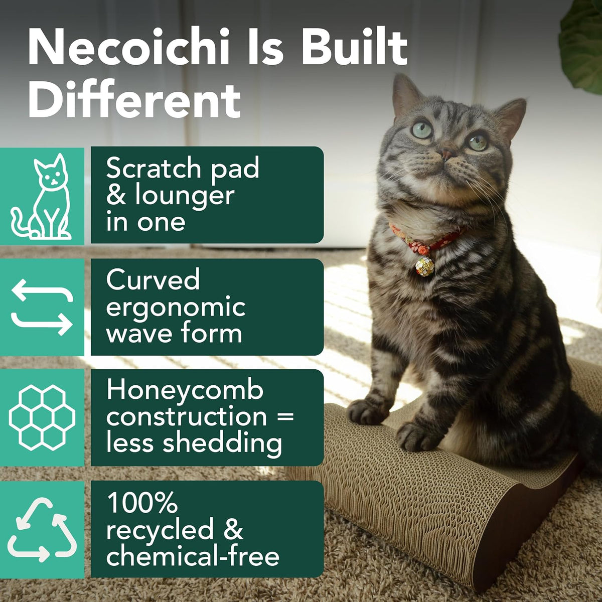 Necoichi Cardboard Cat Scratcher Bed for Indoor Cats - Regular / Dark Cherry - image 2