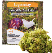Natural Moss for Pet Snails