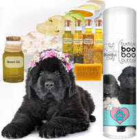 The Blissful Dog .50 oz Tube Newfoundland Booboo Butter