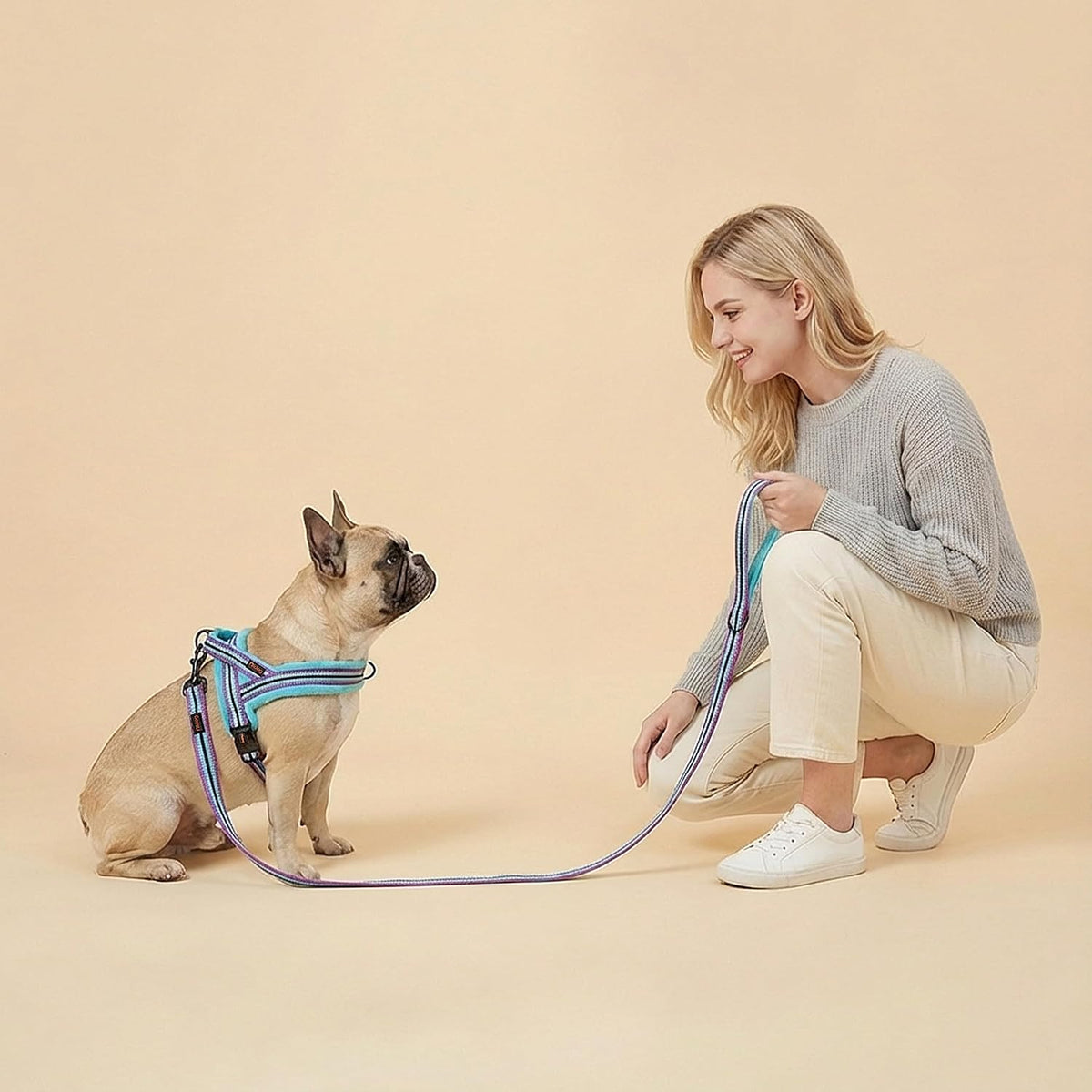 6FT Reflective Dog Leash for Small Medium Dogs, 5/8" Width - Mixed-Blue / 5/8''x 6 FT - image 2