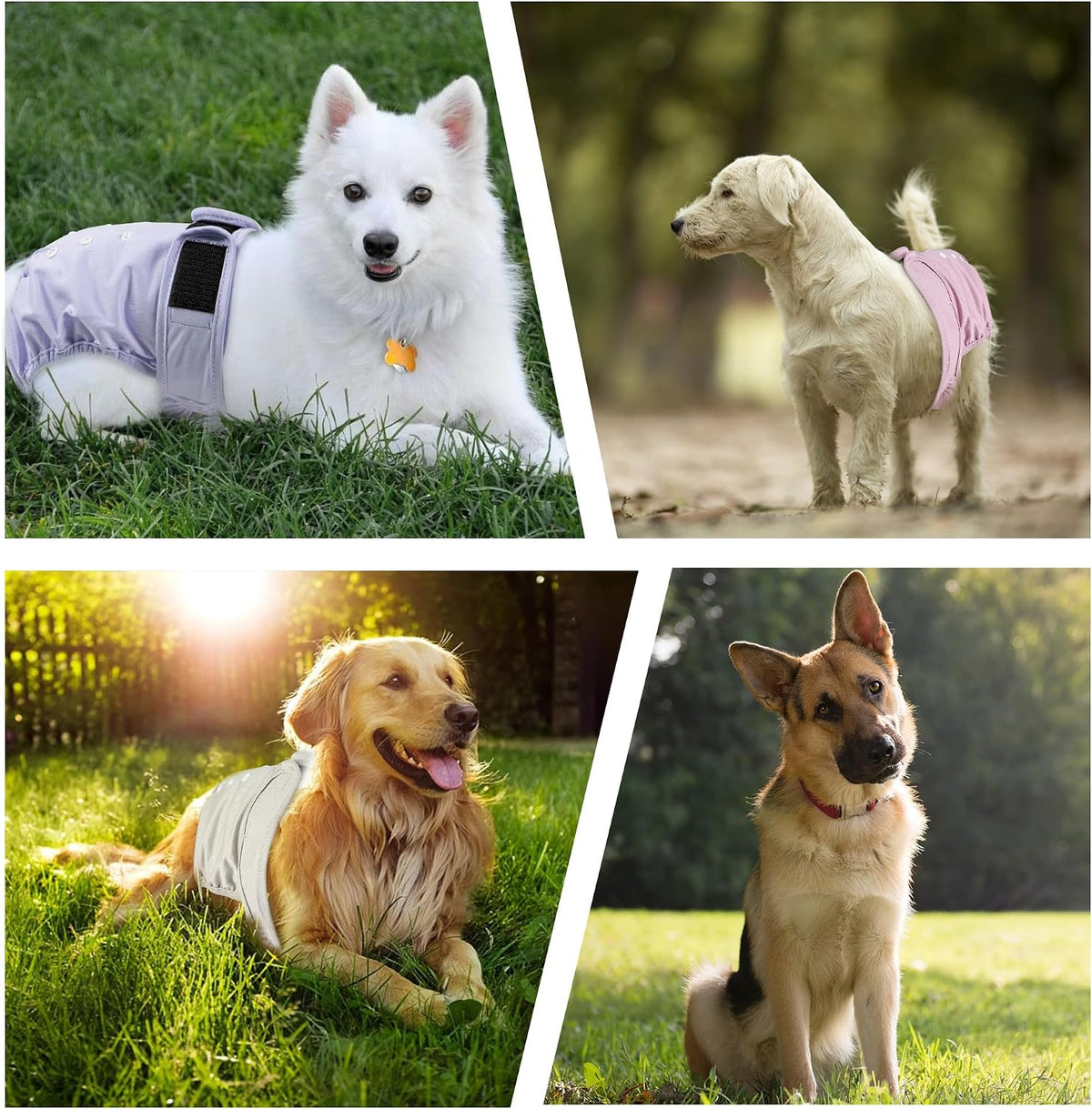 Reusable Dog Diapers Female Washable 3 Pack S Flowers for Heat – Essentials for Dogs - Khaki,Pink, Light Blue / S(Newborn-11.5"Waist) / 3 - image 4
