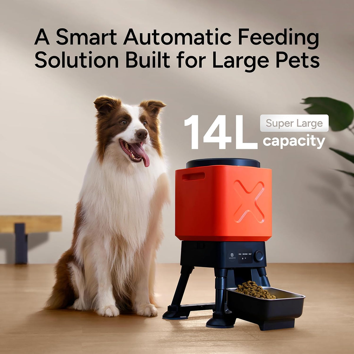 Automatic Dog Feeder for Large Dogs, Remote Feeding - Red with Basic - image 2