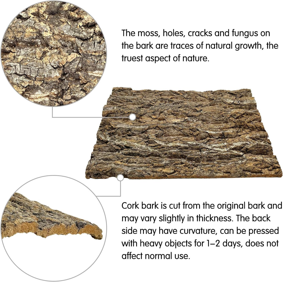 10PCS Cork Tile Background Bark 7.9”Lx7.9”W Reptile Tank Background - 2PCS - 15.7" x 11.8" - image 3