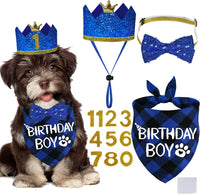 STMK Dog Birthday Party Supplies - Small / Blue