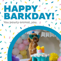 Outward Hound Hide-A-Birthday-Cake Plush Squeaky Dog Toy - Birthday Cake - image 2
