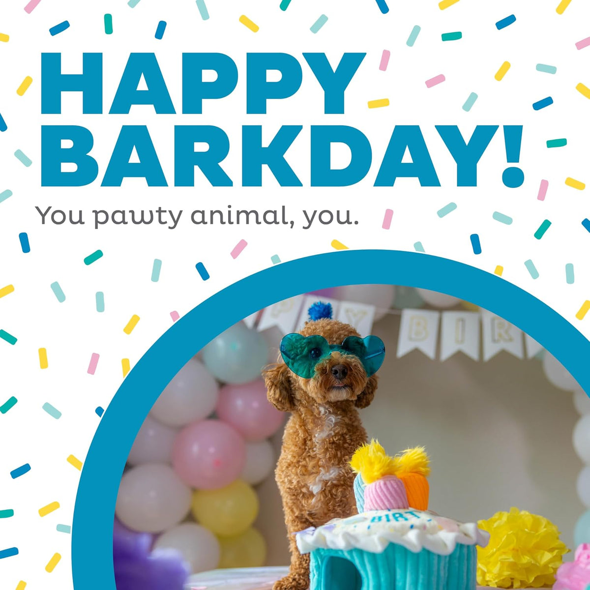 Outward Hound Hide-A-Birthday-Cake Plush Squeaky Dog Toy - Birthday Cake - image 2