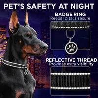 Reflective Neoprene Padded Dog Collar with Quick Release Buckle – Essentials for Dogs - Black / X-Large - image 4