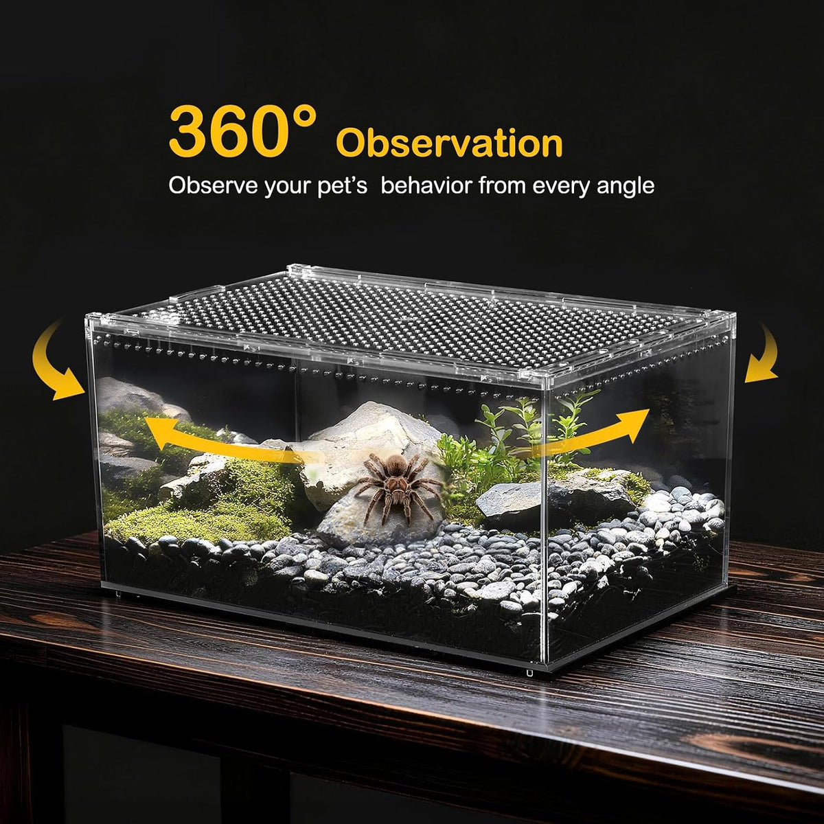 Reptile PC Tank,Escape Proof Magnetic Lid Tarantula Enclosure Large – Essentials for Reptiles And Amphibians - Slide Lid Tank / S(7.8x5.9x3.9 IN) - image 4