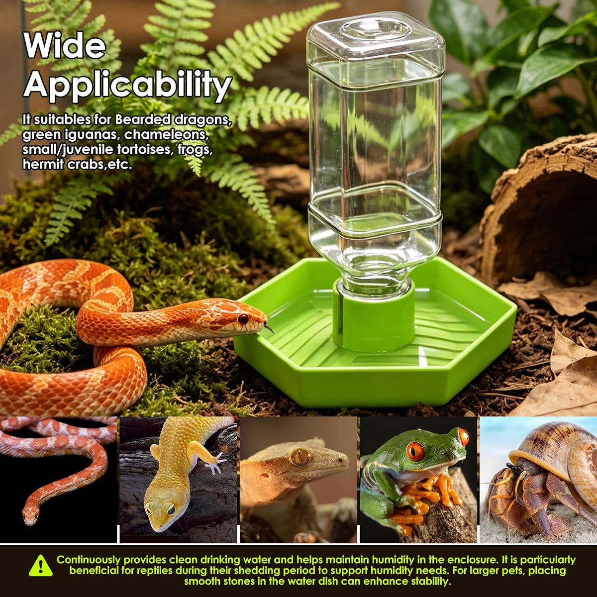 Reptile Water Dispenser Bowl for Bearded Dragon Tortoise – Essentials for Reptiles And Amphibians - Apple Green / S - image 3
