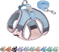 Breathable Dog Harness Small Sized and Leash Set - Blue-Pink / XS(Chest: 11.5 - 13.5")