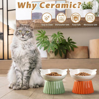 Ceramic Raised Cat Bowl，Tilted Raised Cat Bowl Anti Vomit Cat Bowls - Green+Orange - image 3
