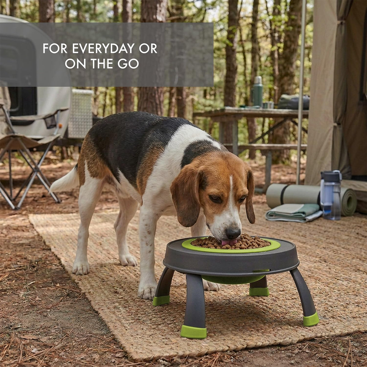 Dexas Pets Elevated Pet Feeder, 4 Cup Capacity - Large/4 Cup Capacity / Green - image 3
