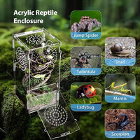 Jumping Spider Enclosure, Acrylic Praying Mantis Habitat, 8"*4"*4" Insect Terrarium, Small Reptile Cage Accessories with Secure Lock for Arboreal Tarantula, Snails, Bug, Lizard