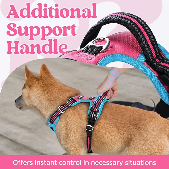 rabbitgoo Dog Harness for Large Dogs, No Pull Pet Vest with 3 Buckles, Adjustable Soft Padded Pet Harness with Easy Control Handle and Reflective Strips, Rose Pink & Blue, L