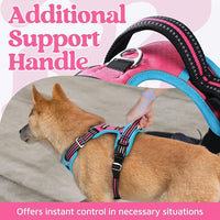 rabbitgoo Dog Harness Small Sized, No Pull Dog Vest with 3 Buckles, Adjustable Soft Padded Pet Harness with Easy Control Handle and Reflective Strips, Rose Pink & Blue, S