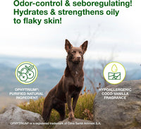 Douxo S3 SEB Dog Seboregulating Mousse, 0.5% Ophytrium - image 2