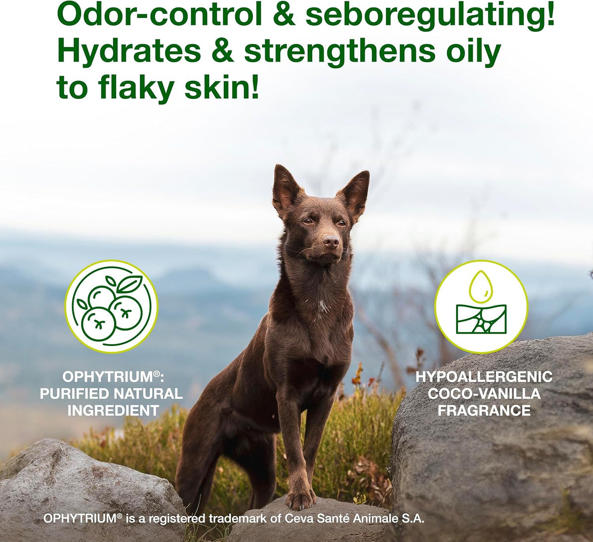 Douxo S3 SEB Dog Seboregulating Mousse, 0.5% Ophytrium - image 2