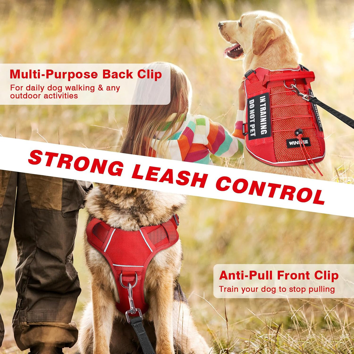 WINSEE Service Dog in Training Mesh Harness with 10 Removale Pet - Large / Red - image 3