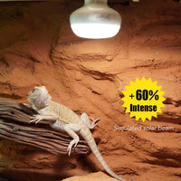 Basking Light for Reptiles, Reptile Heat Bulb Light - 2-Pack Intense Basking Spot / 100W - image 4