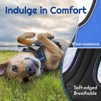 Eagloo Dog Harness for Large Dogs, Easy Wearing with 3 Buckles, Adjustable No Pull Pet Harness with 2 Rings for Walking, No Chock Reflective Soft Padded Vest with Control Handle, Blue & Black, L